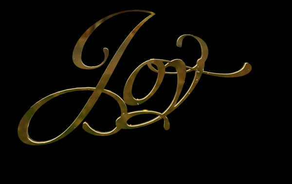 Joy - Paris Ass Book Fair