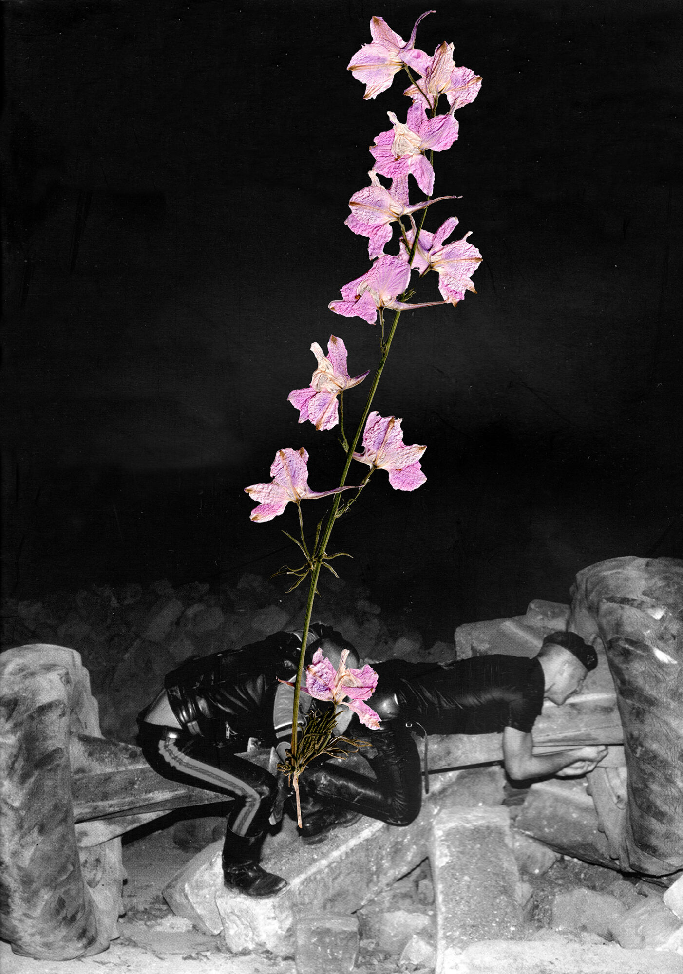 Lazare Lazarus - Paris Ass Book Fair