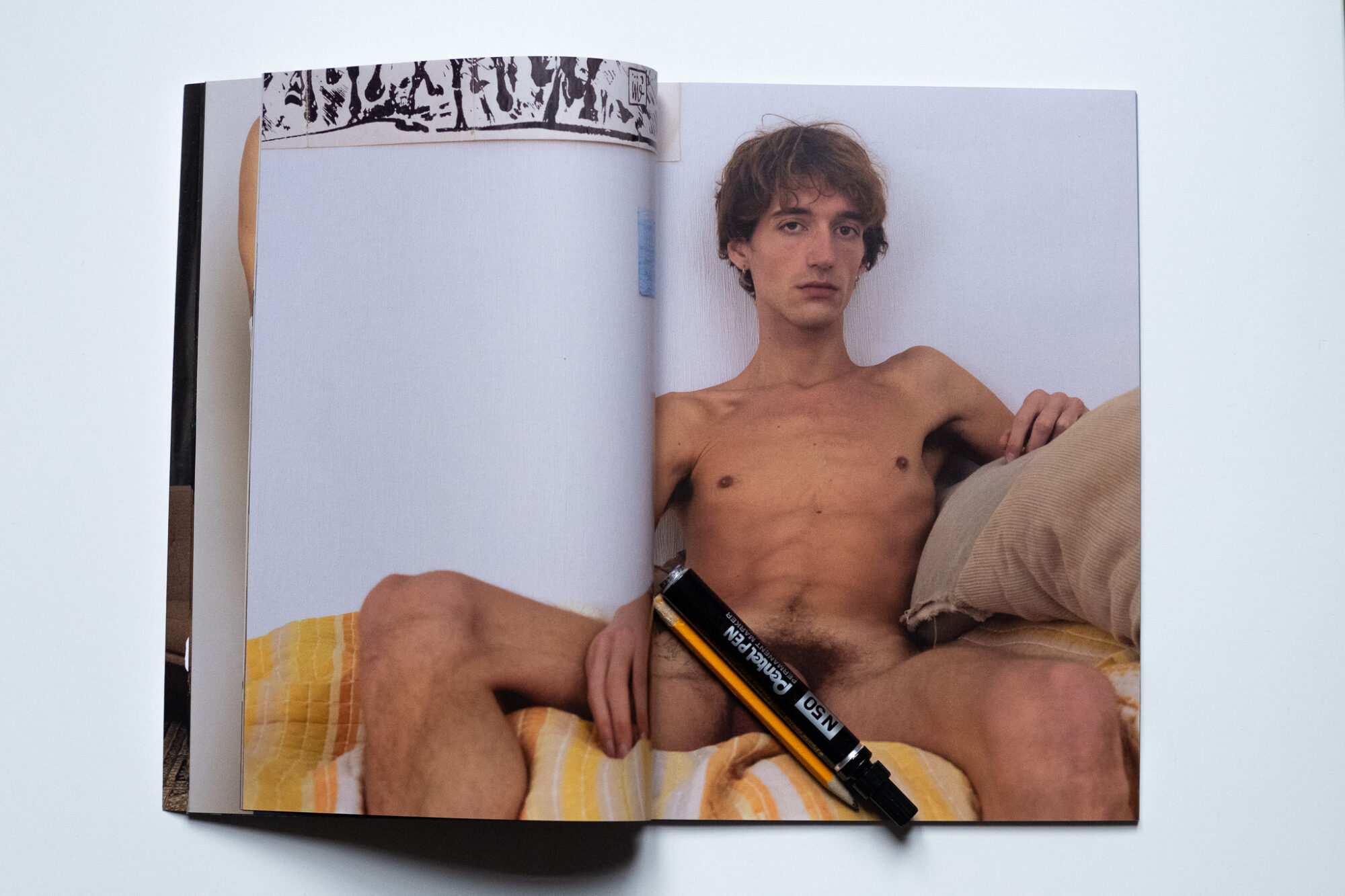 THE SHY GUY - Paris Ass Book Fair