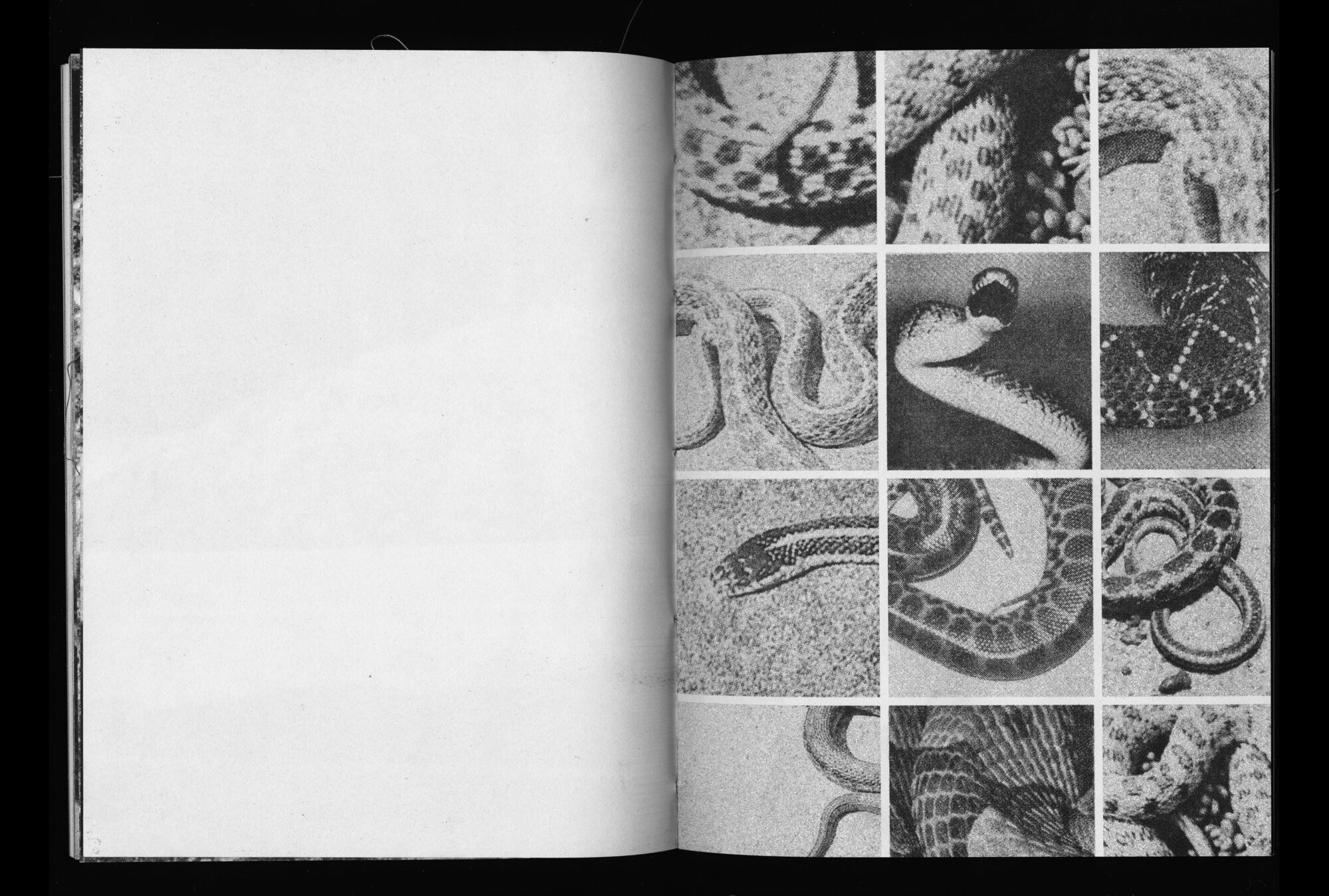 bruise studio - Paris Ass Book Fair