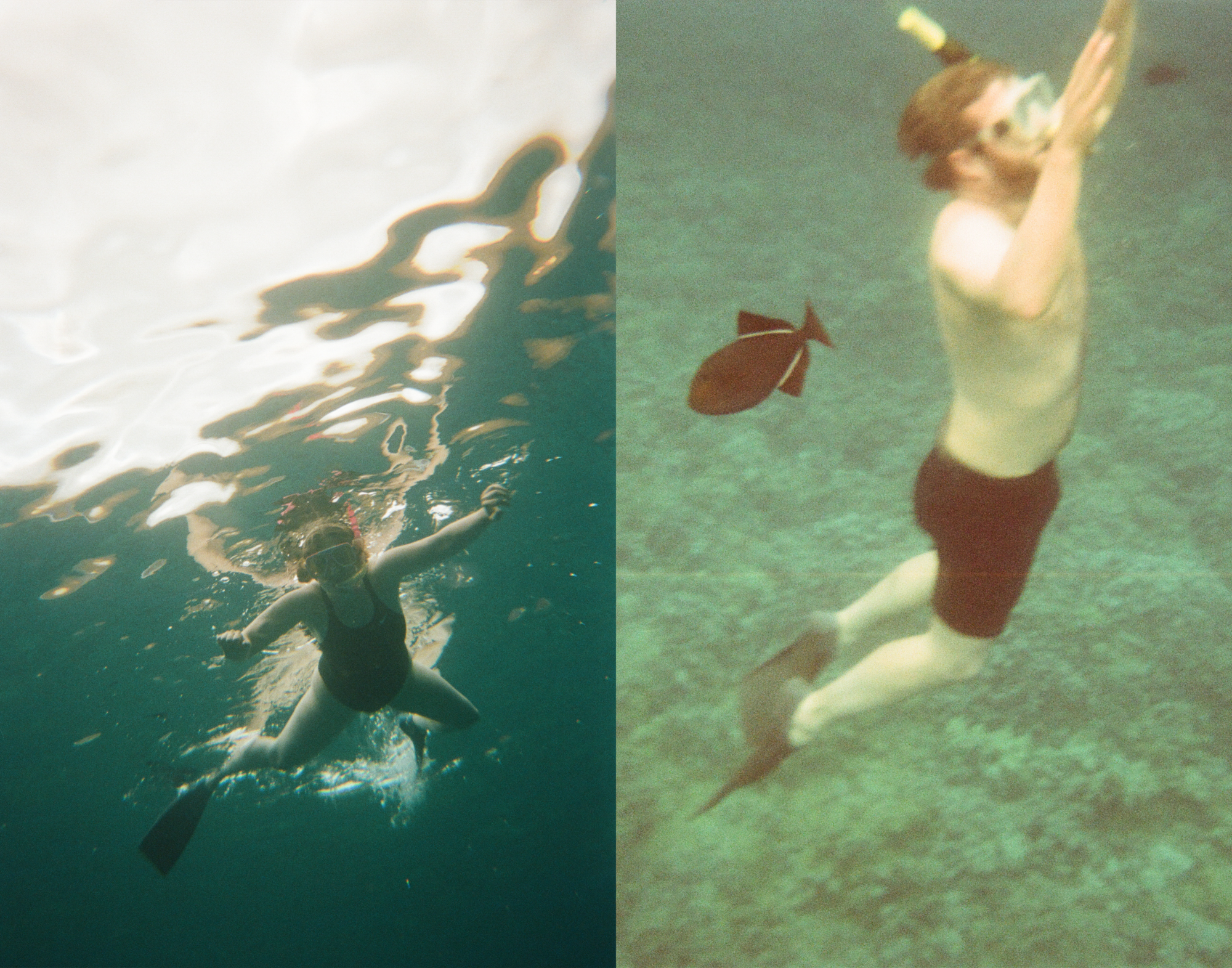 Each and Every - Paris Ass Book Fair