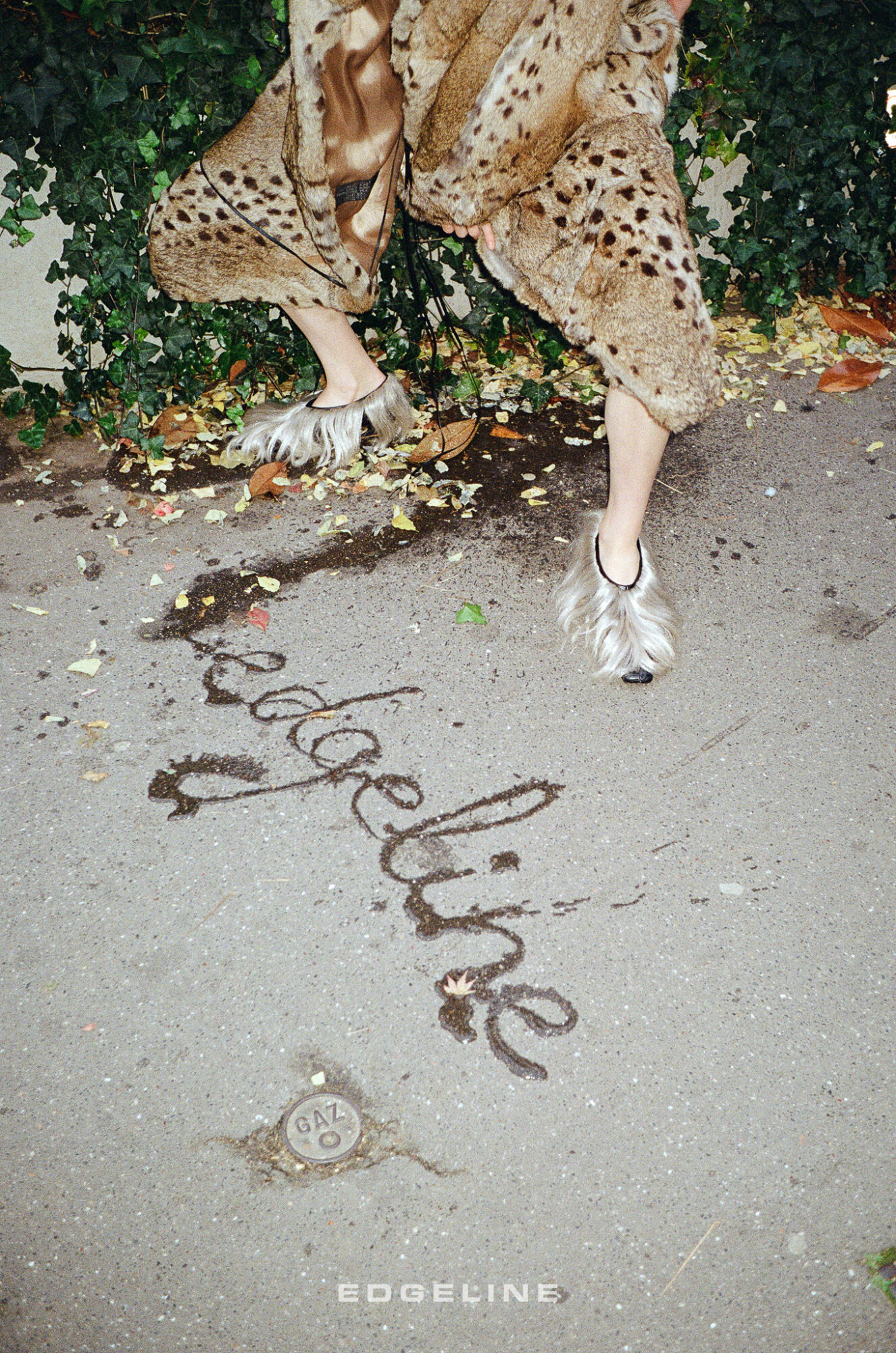 edgeline - Paris Ass Book Fair