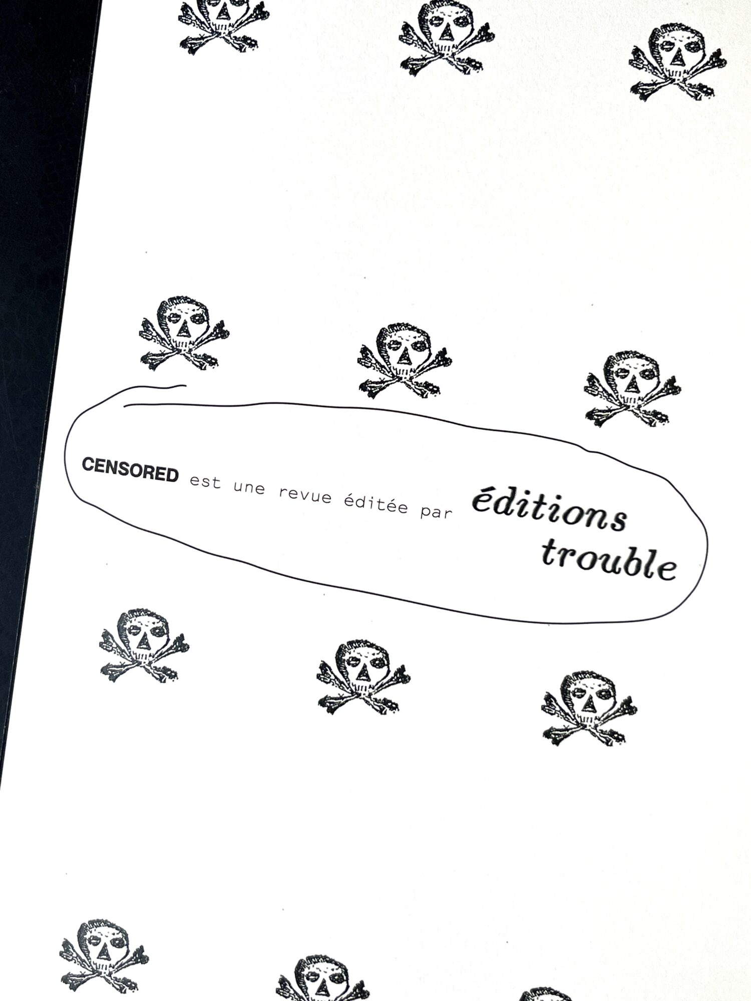 ÉDITIONS TROUBLE - Paris Ass Book Fair