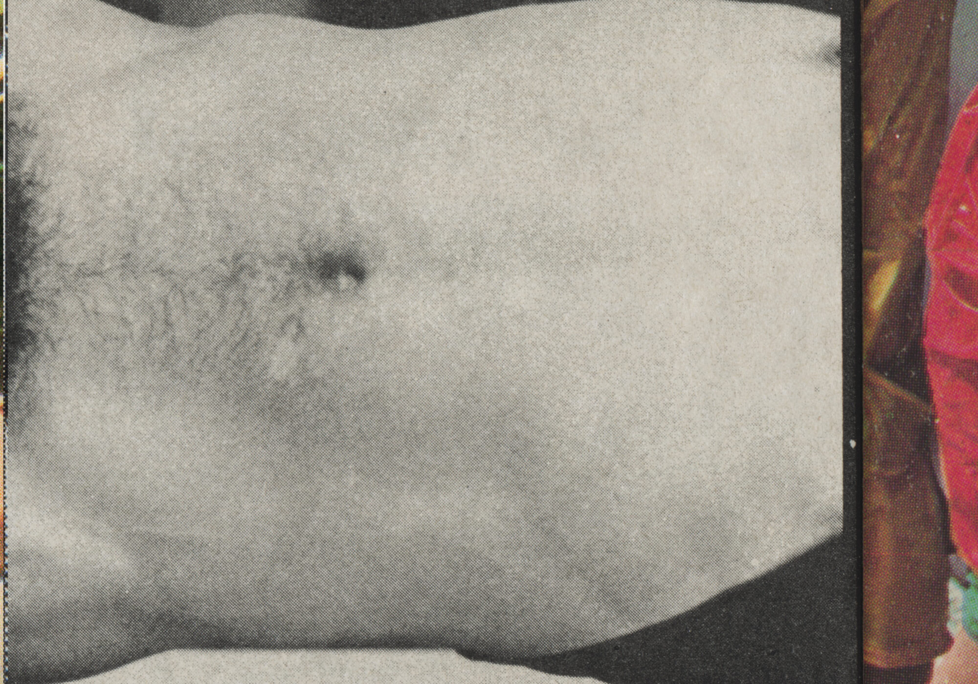 FORMA Editions - Paris Ass Book Fair