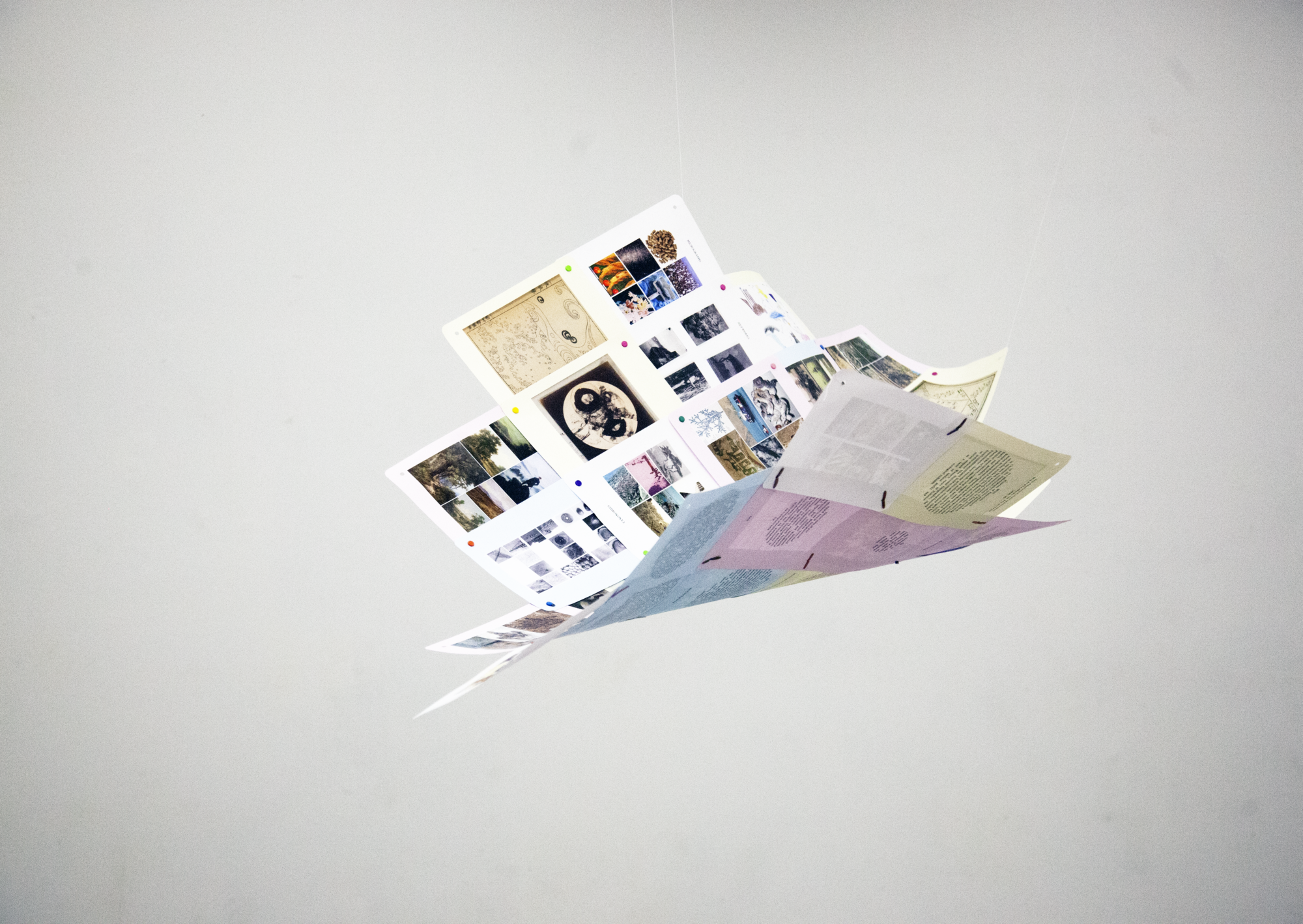 Shibboleth - Paris Ass Book Fair